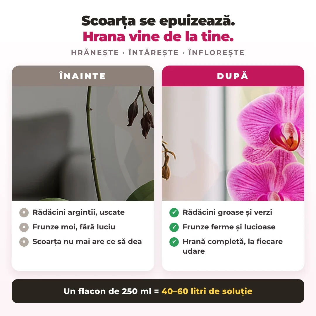 Înainte și după