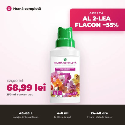 Ofertă: al 2-lea flacon −55%