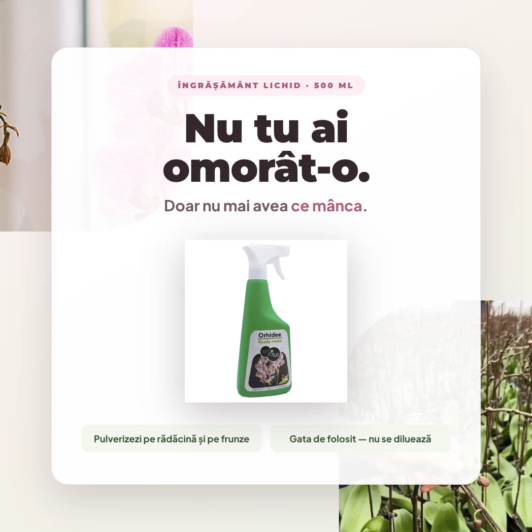 Îngrășământ Lichid pentru Orhidee, 500 ml — Gata de Folosit, pe Rădăcină și pe Frunze