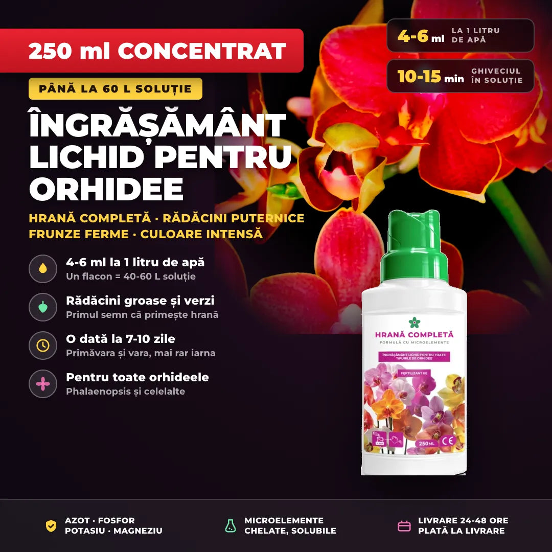 Îngrășământ lichid concentrat pentru orhidee — 250 ml